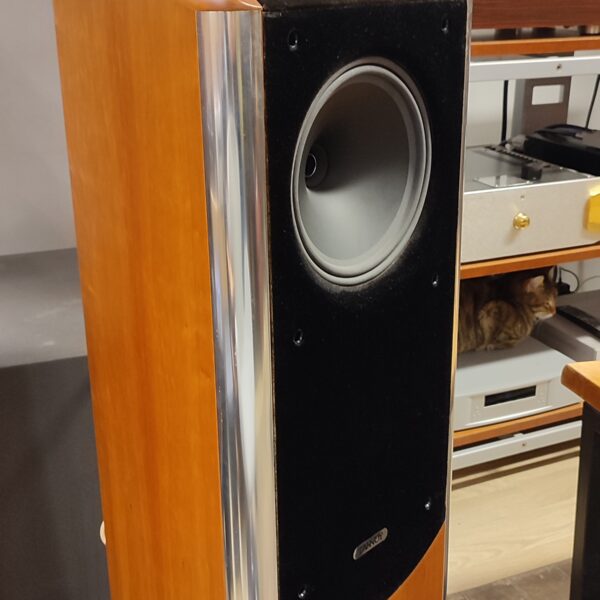 Tannoy TD10 ve Van den Hul