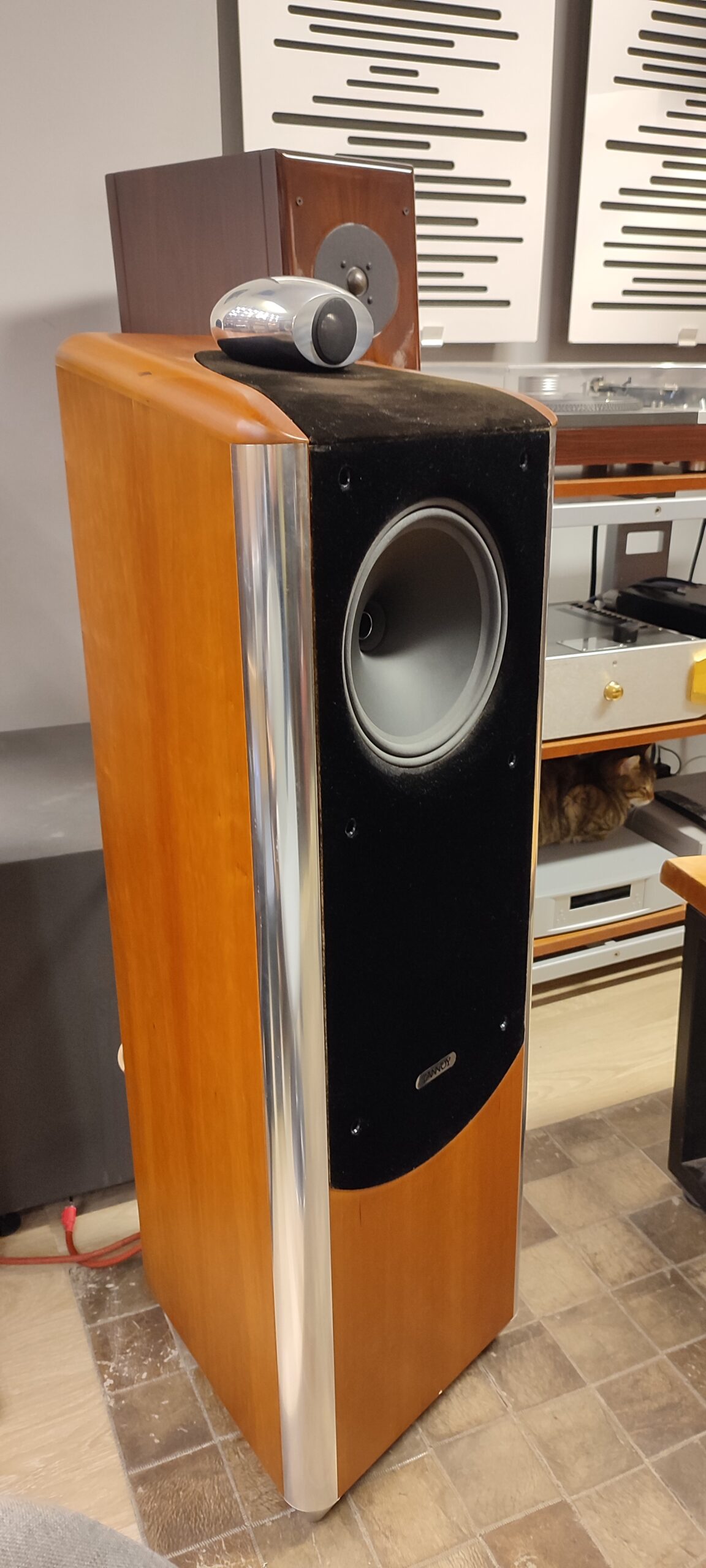 Tannoy TD10 ve Van den Hul SOUND216 Tannoy TD10 ve Van den Hul - Görsel 1